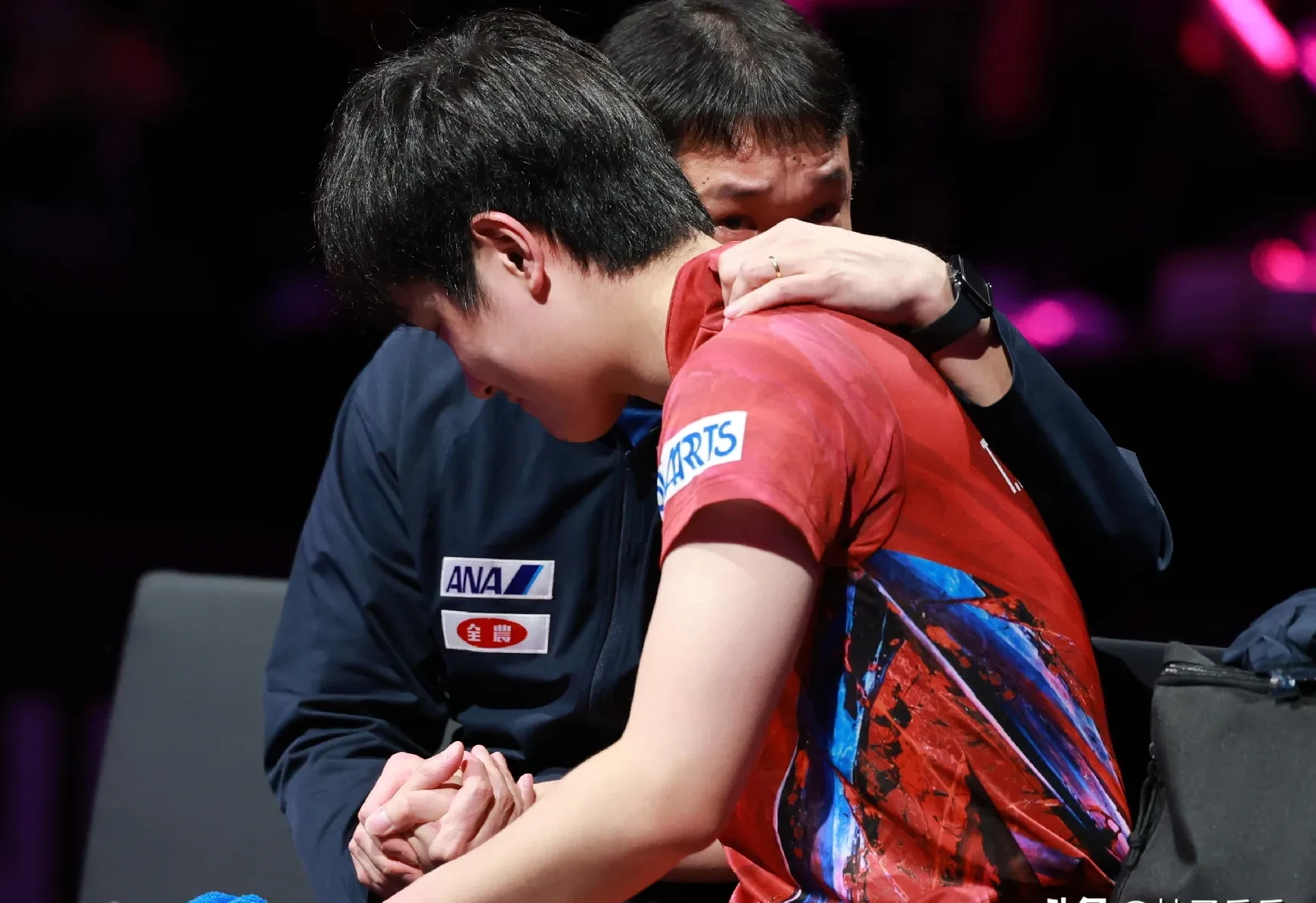 法国队力克日本队，张本智和关键制胜的简单介绍