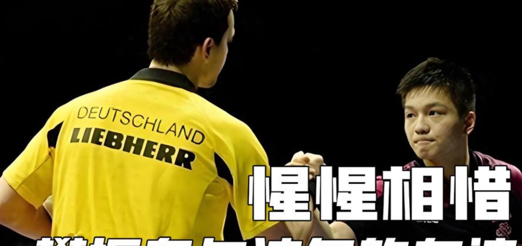 关于瑞典队力克德国队，樊振东高光表现的信息