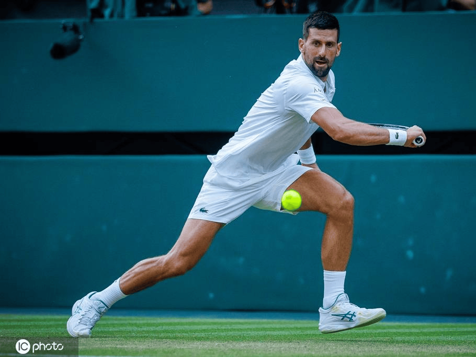 年终总决赛横扫ATP总决赛，德约科维奇统治全场的简单介绍